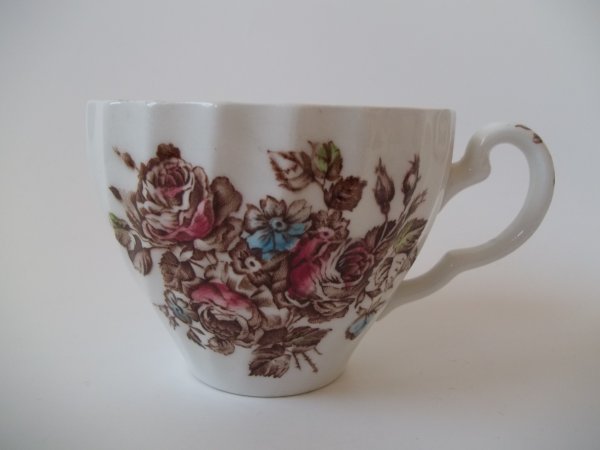 Kaffeetasse "Devon Sprays" Braun Bunt