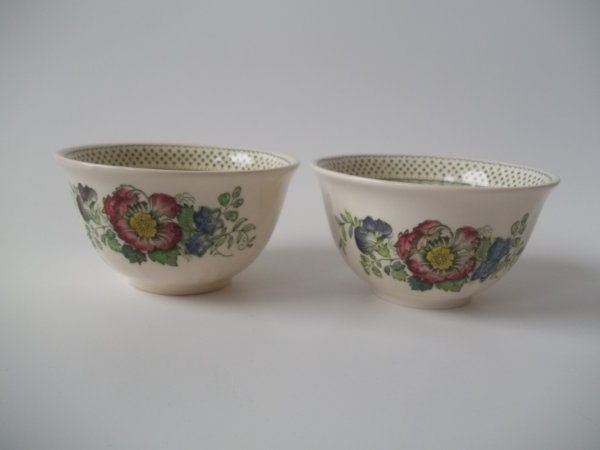 Müslischüssel "Paynsley Patt" Grün Bunt