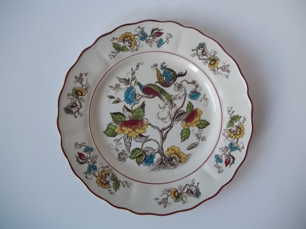 Essteller "Exotic Bird" Bunt